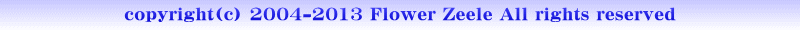 �ԑ��ƃA�����W�����g�̃M�t�g�@�t�����[�[�[��