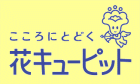 ԃL[sbgES